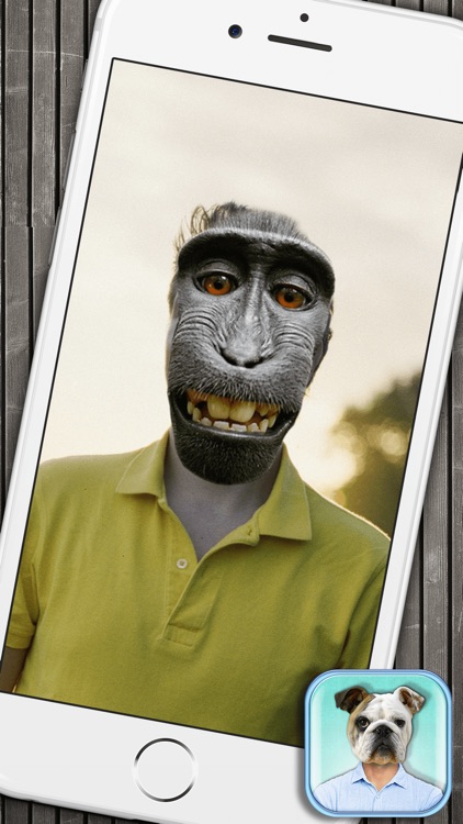 Animal Face Photo Booth with Funny Pet Sticker.s screenshot-4