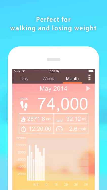Pedometer α