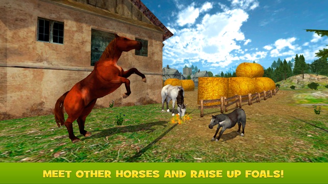 Horse Survival Simulator 2017 Full(圖3)-速報App