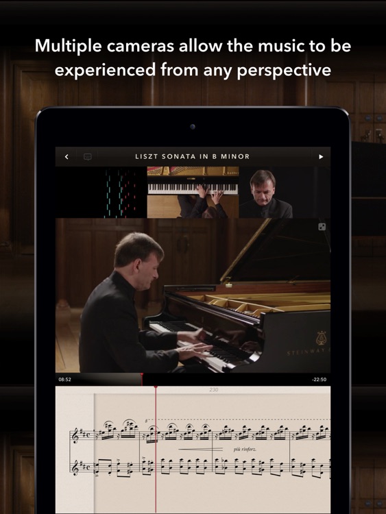 The Liszt Sonata