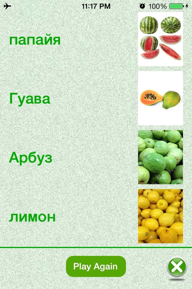 Flashcards Russian Lesson screenshot 3
