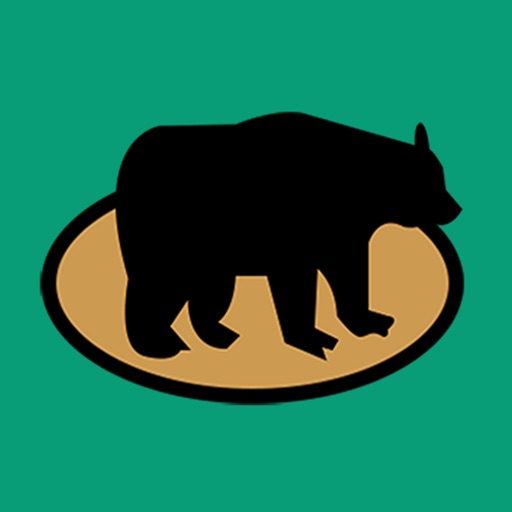 Whack-a-Bear Icon