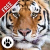 Forest & Jungle Animals Puzzle 2 : Logic Game Free