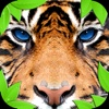 Jungle Tiger Simulator