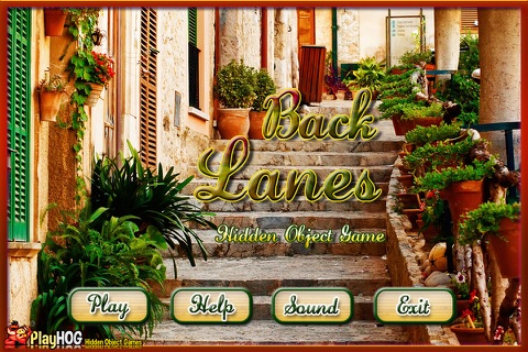 Back Lanes Hidden Object Game screenshot 4