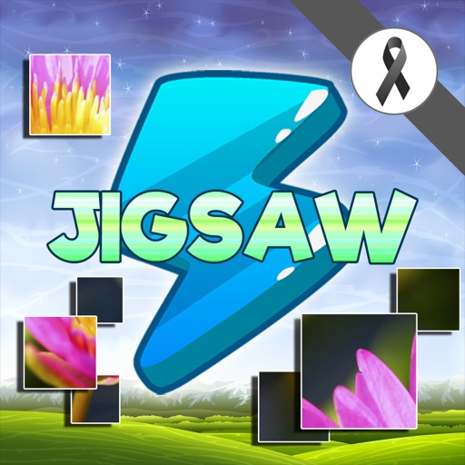 Flash Jigsaw Icon