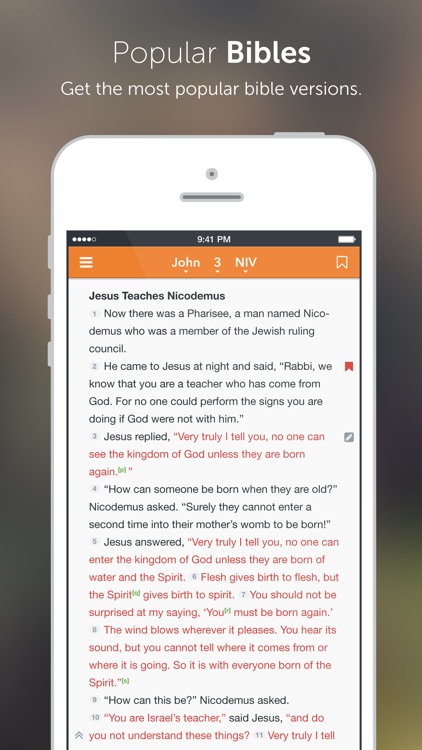 The Message Bible