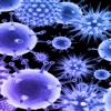 Virus Wallpapers HD- Quotes and Art Pictures