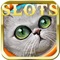 Pets Heroes Bonus-Casino Slot Machine Bonus Game