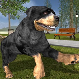 Rottweiler Dog Life Simulator