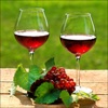 Brayman Wine & Spirits Guide HD