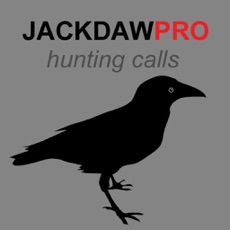 Activities of Jackdaw Calls for Hunting - BLUETOOTH COMPATIBLE