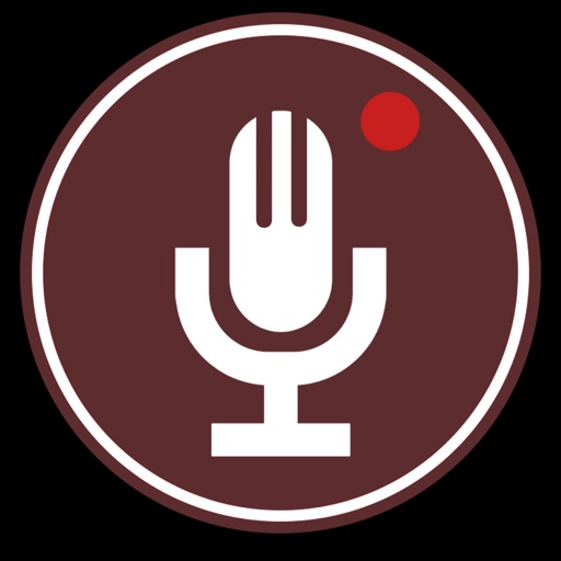 HD Smart Voice Recorder : Share Recordings