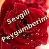 Peygamberim