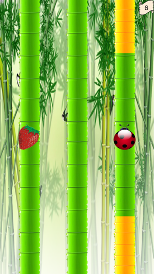 Beetle in bamboo(圖3)-速報App