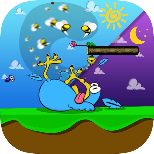 Birds Life iOS App