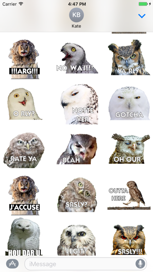 Talking Owl Sticker for iMessage(圖3)-速報App