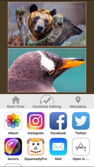 LineUpper - Put two pics in one for Instagram(圖3)-速報App