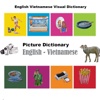 Picture English Vietnamese Dictionary