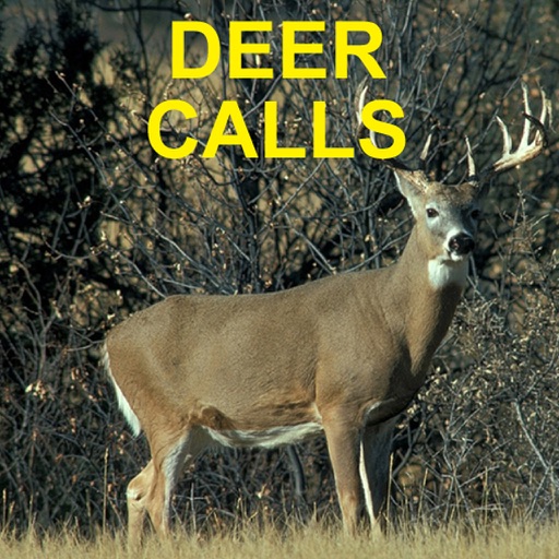 Deer Calls and Deer Sounds for Deer Hunting icon