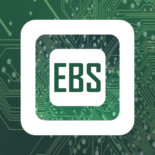 Electronic Brain Solutions by Ovi Bortas