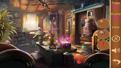 HIDDEN OBJECTS OF A STOLEN IDENTITY 1.0 IOS