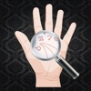 Palm Reading Premium HD - palmistry & chirology