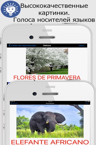 iSpeak learn Spanish language screenshot 3