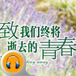 致我们终将逝去的青春-广播剧