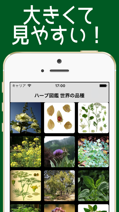 はーぶ図鑑 世界の品種 =ハーブ80種類= screenshot1