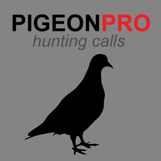 REAL Pigeon Calls and Pigeon Sounds for Hunting! -- BLUETOOTH COMPATIBLE Icon