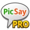 Picsay Pro - Photo Editor & Online Effects HD Pro