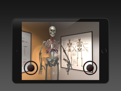 The Human Respiratory System screenshot 3