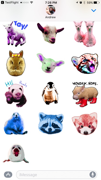 Cute Awesome Animals Sticker Pack screenshot-4