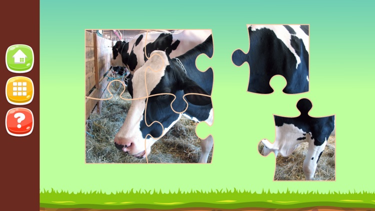 Animal Photo Jigsaw Puzzle Games HD screenshot-4
