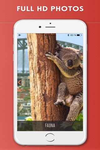 Australia Travel Guide and Offline Street Map - náhled