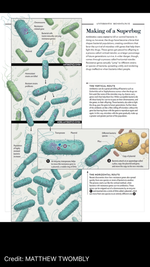 Scientific American(圖2)-速報App