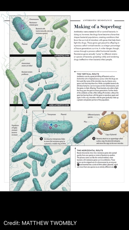 Scientific American