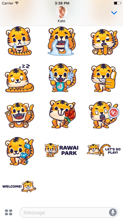 Rawai Tiger - baby tiger stickers for kids park screenshot-3