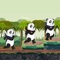 Help the lovely panda across the layers of barriers to collect more