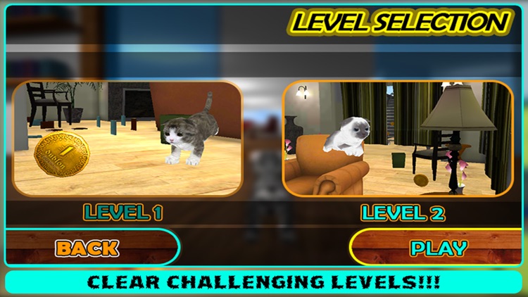 Crazy Cat Pet Simulator 3D screenshot-4
