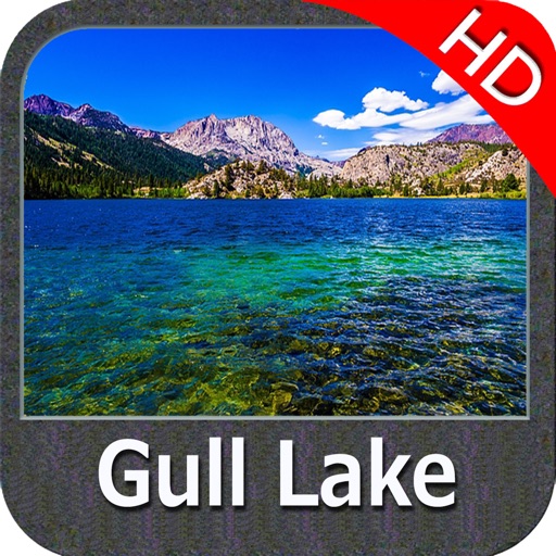 Lake Gull Michigan HD GPS fishing chart offline