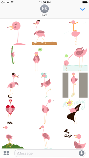 Pink Flamingo Animated(圖3)-速報App