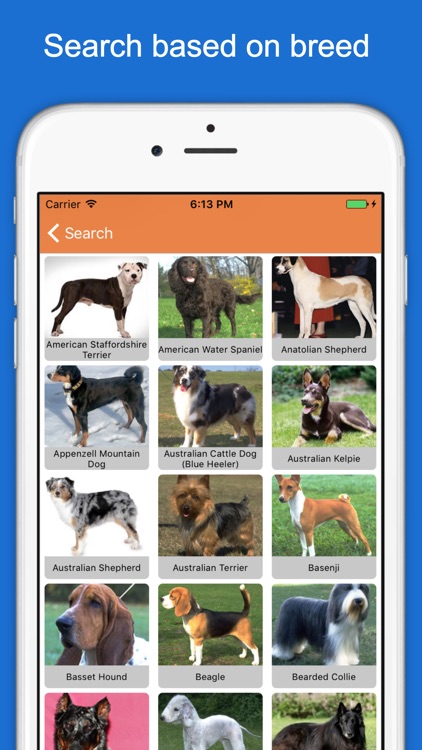 Furry Friend Finder Pet Rescue screenshot-4