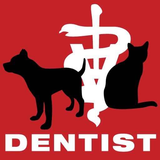 Dog & Cat Dentist icon