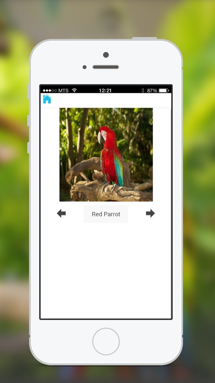 Animal Sounds & Photos for Kids screenshot-3