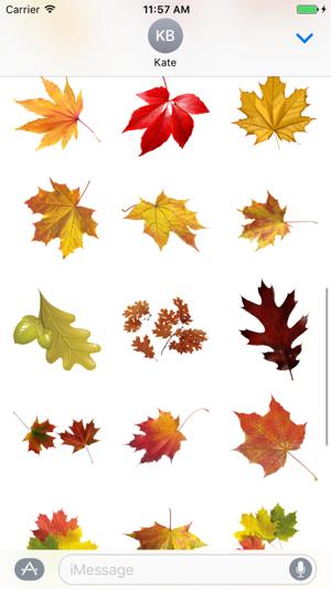 Autumn Leaves Stickers