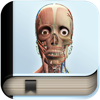Explain 3D Human body