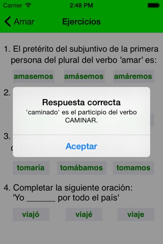 iGramática screenshot 3