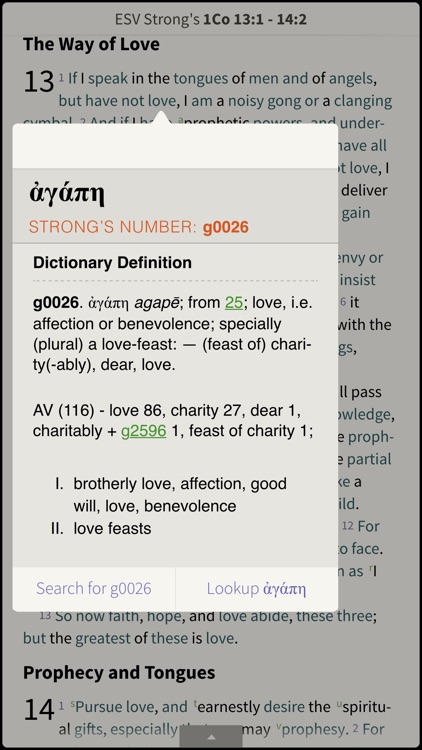 NRSV Bible by Olive Tree screenshot-3